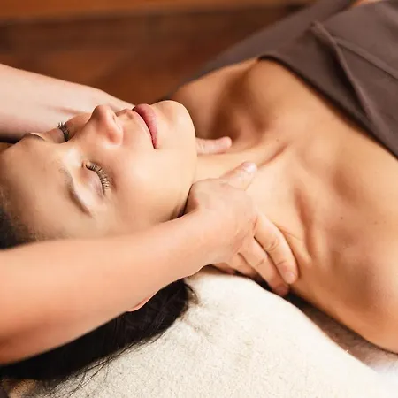 Grand Lietuva Serviced Dzukija Druskieniki